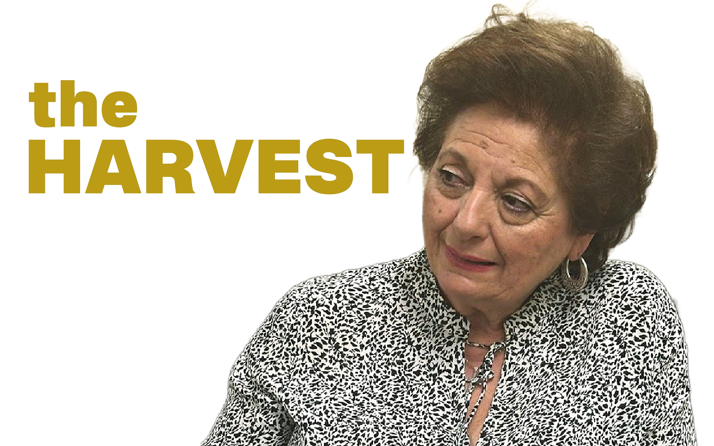 Ep. 20 Citizens of the Kingdom: Embracing the Holy Spirit’s Gifts and Love in Christ’s New Exodus